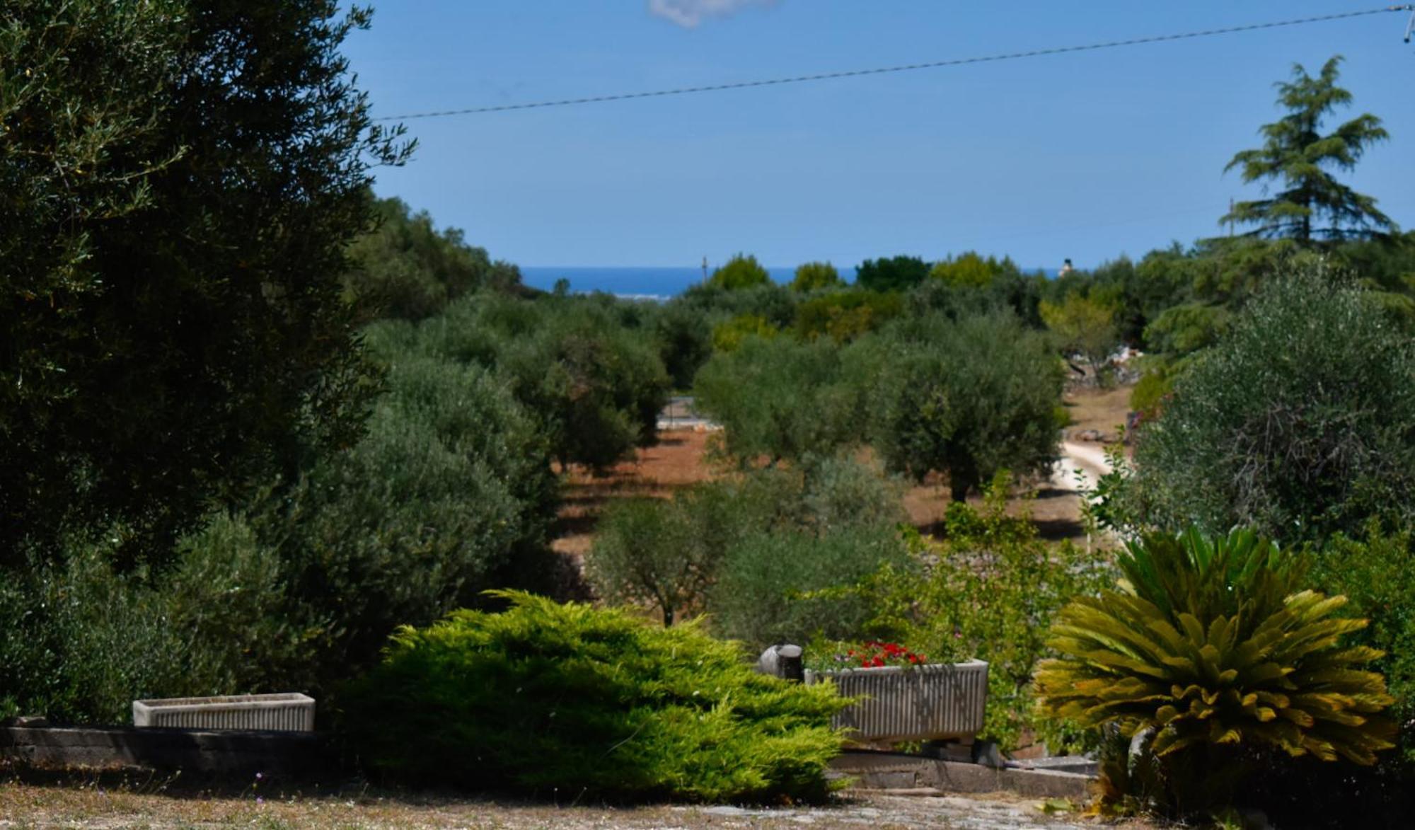 Terre D'Amore - For Couples Hotel Ostuni Bagian luar foto