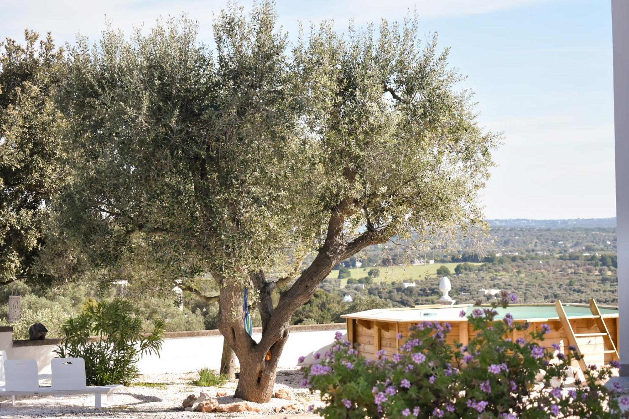 Terre D'Amore - For Couples Hotel Ostuni Bagian luar foto